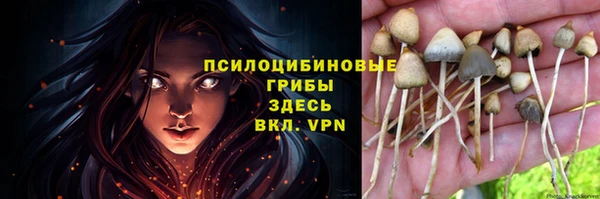 скорость Алексин