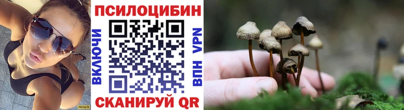 Галлюциногенные грибы Magic Shrooms  Новомосковск 